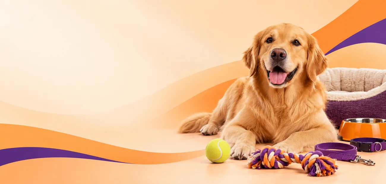 Tudo para o seu cachorro