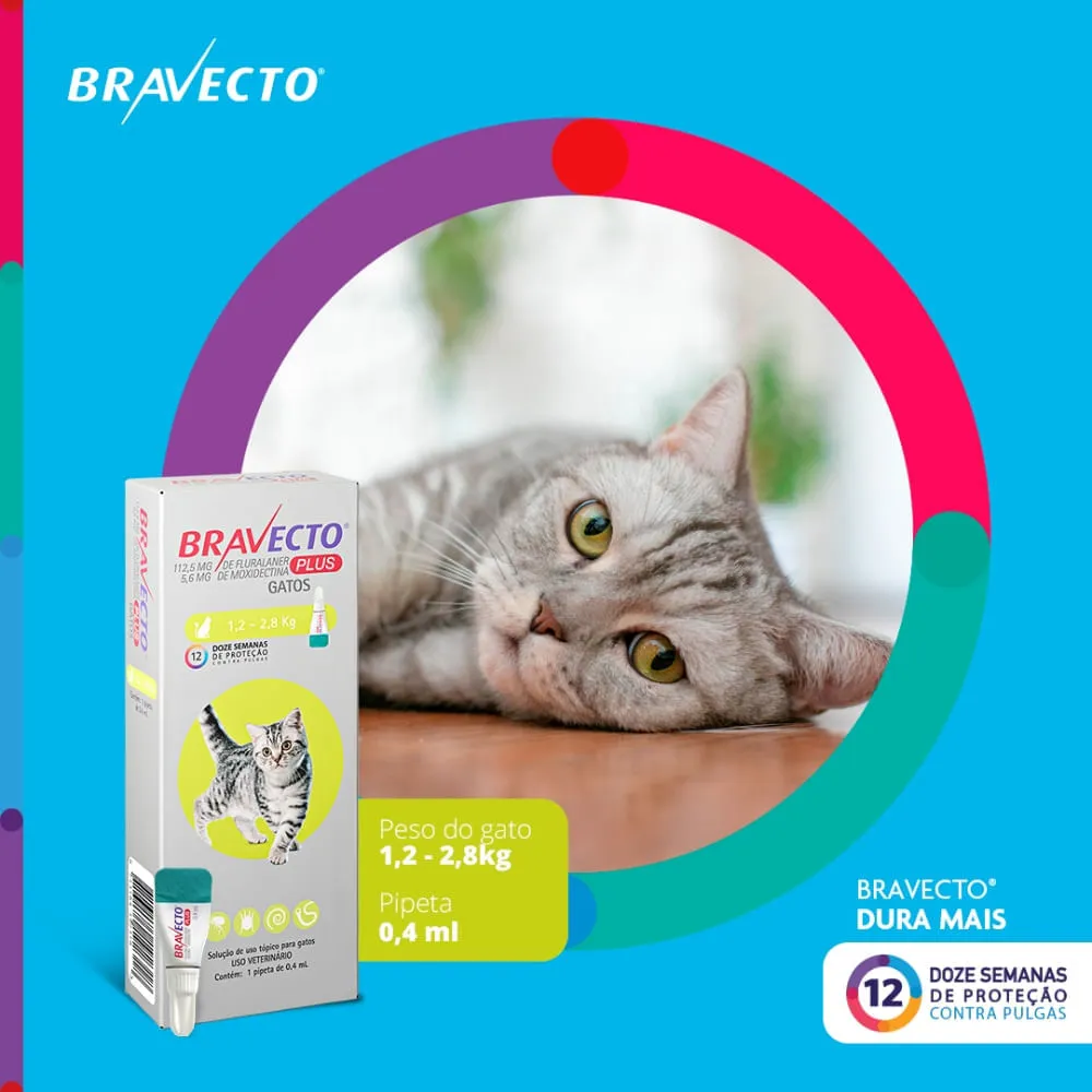 Antipulgas Bravecto Plus Gatos 1,2 a 2,8 kg — foto 3