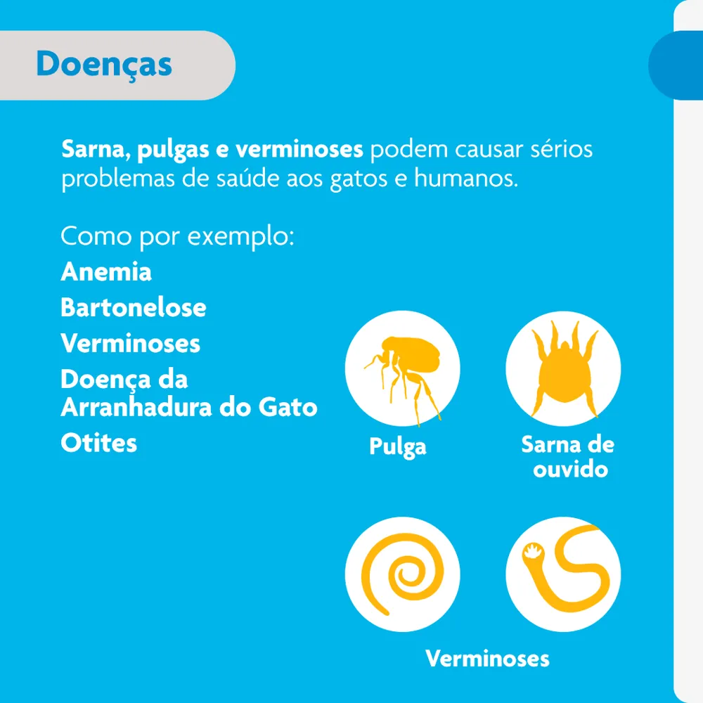 Antipulgas Bravecto Plus Gatos 1,2 a 2,8 kg — foto 4