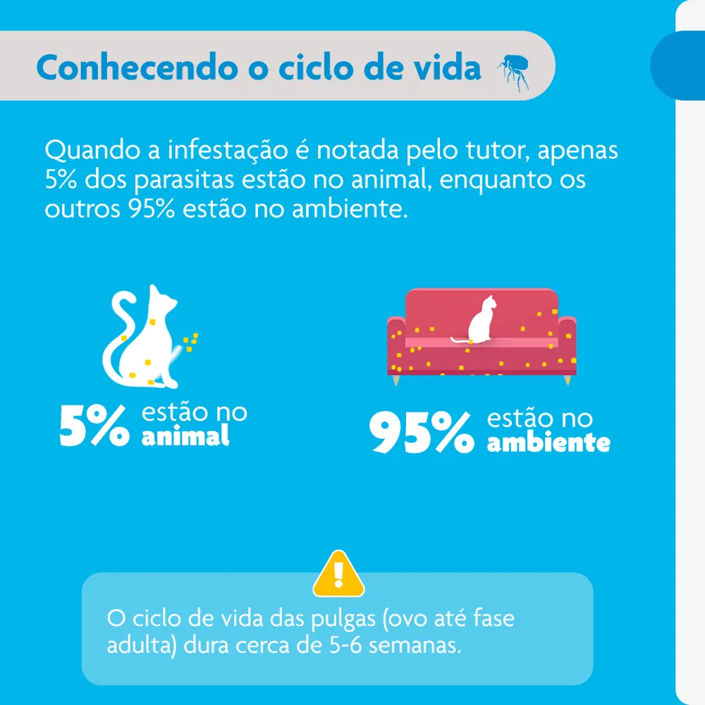 Antipulgas Bravecto Plus Gatos 1,2 a 2,8 kg — foto 6