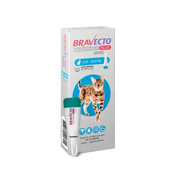 Antipulgas Bravecto Plus Gatos 2,8 a 6,25kg