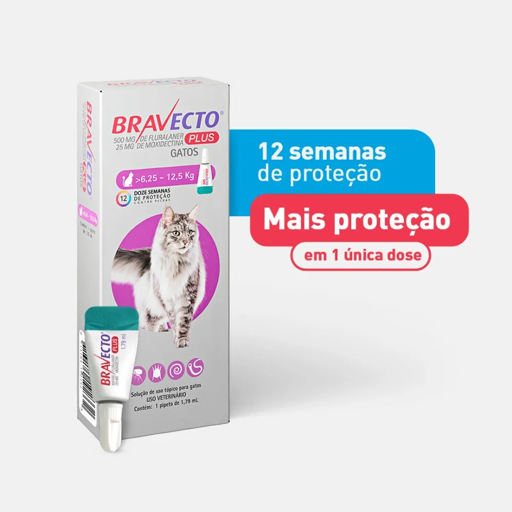 Antipulgas Bravecto Plus Gatos 6,25 a 12,5 kg — foto 2