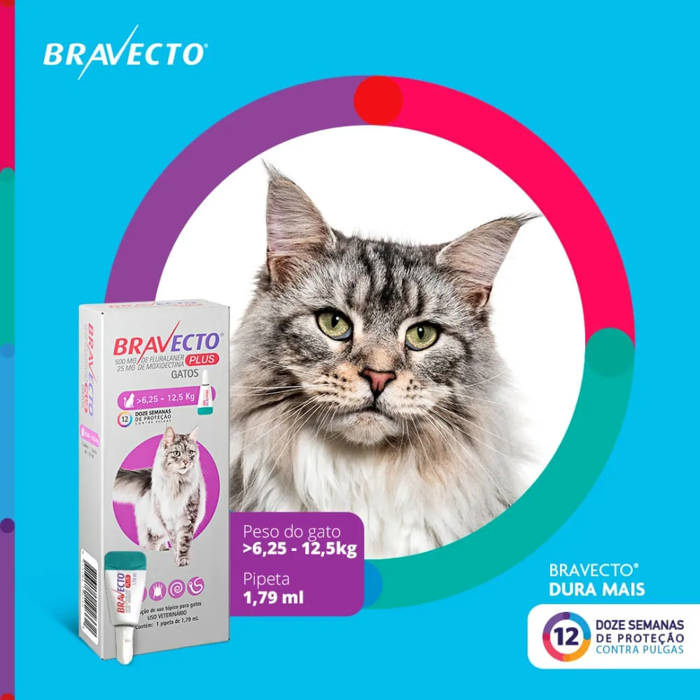 Antipulgas Bravecto Plus Gatos 6,25 a 12,5 kg — foto 3