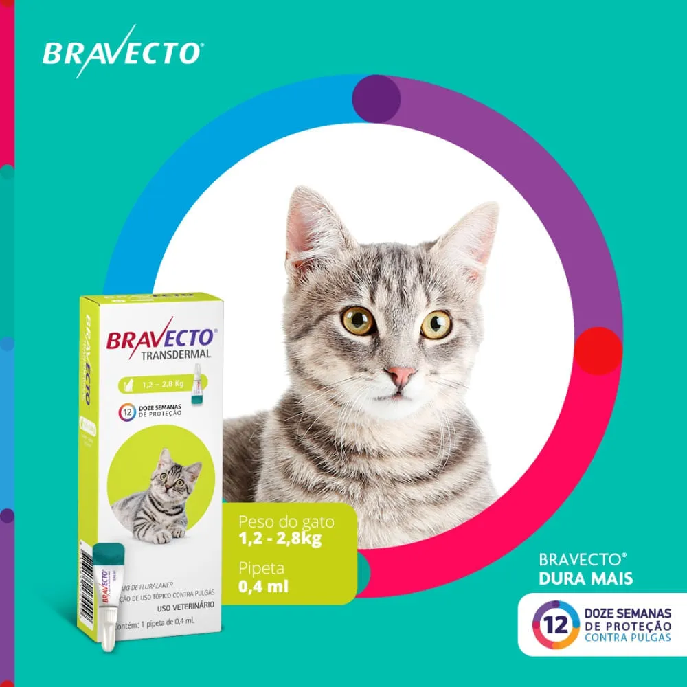 Antipulgas Bravecto Transdermal Gatos 1,2 a 2,8kg — foto 3