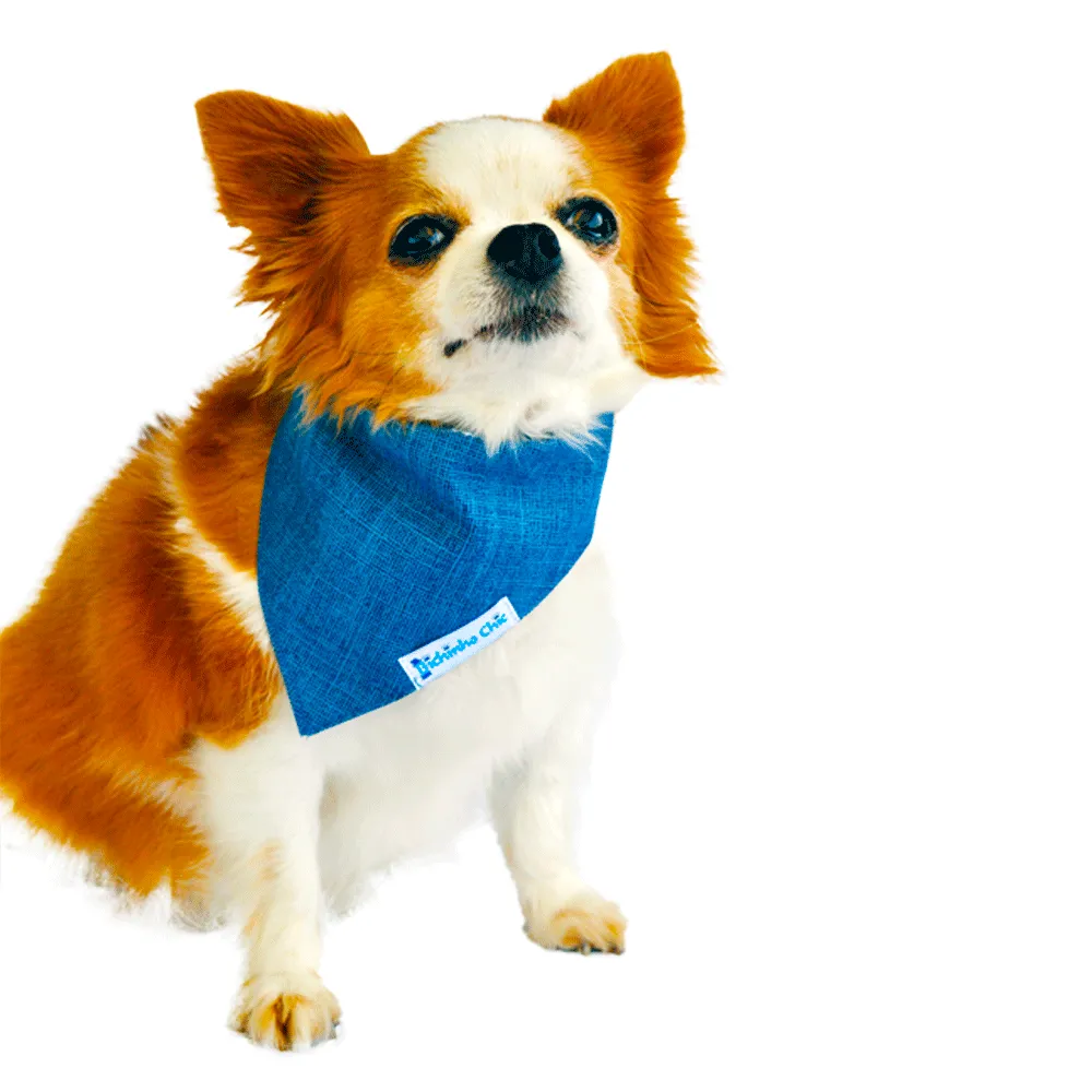 Bandana Básica Azul Bichinho Chic — foto 4