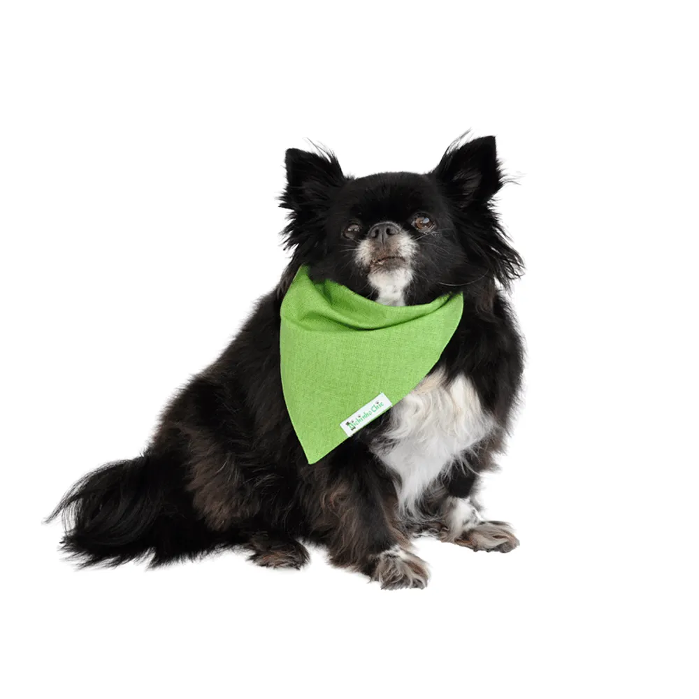 Bandana Básica Verde Bichinho Chic — foto 4
