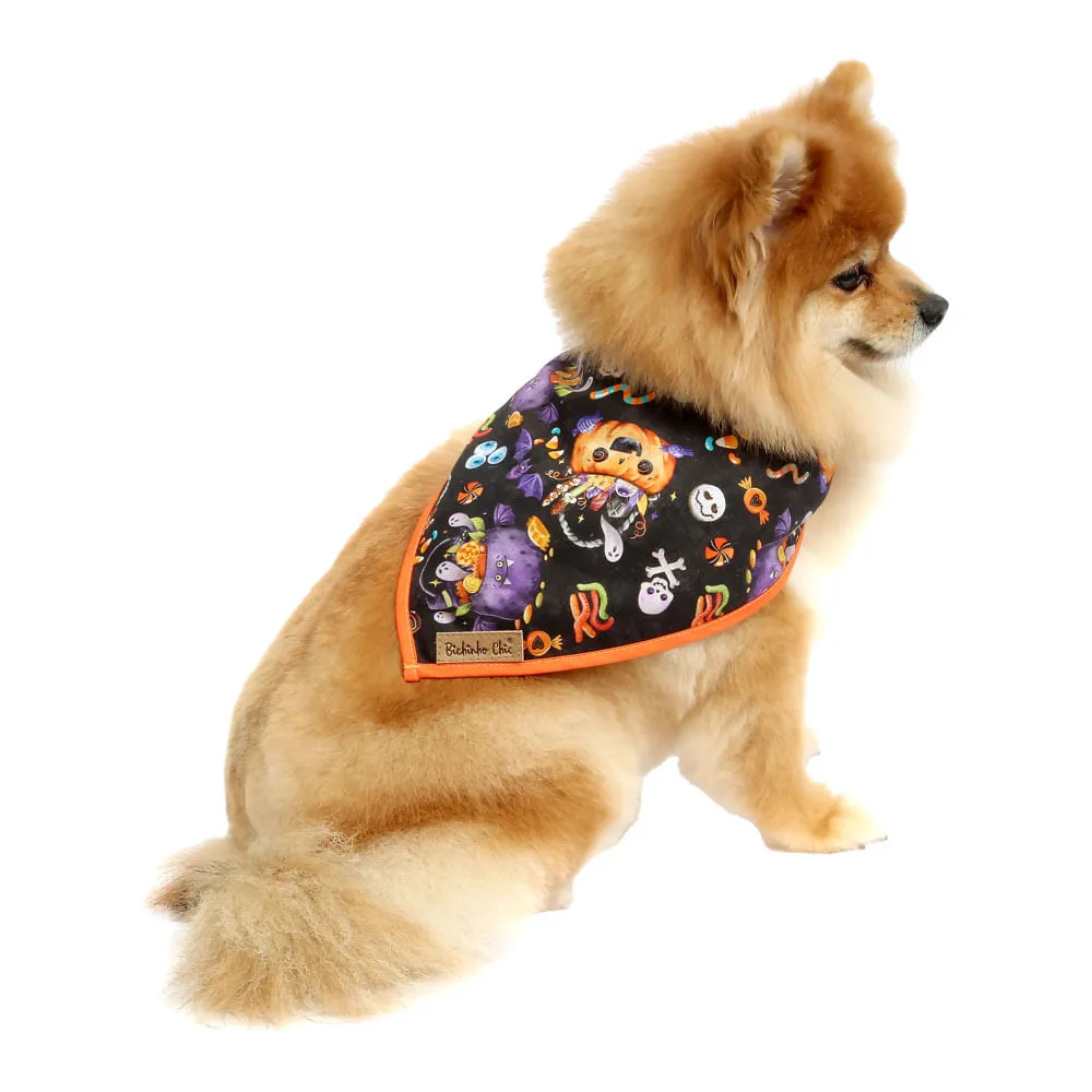 Bandana Halloween Bichinho Chic Laranja — foto 4