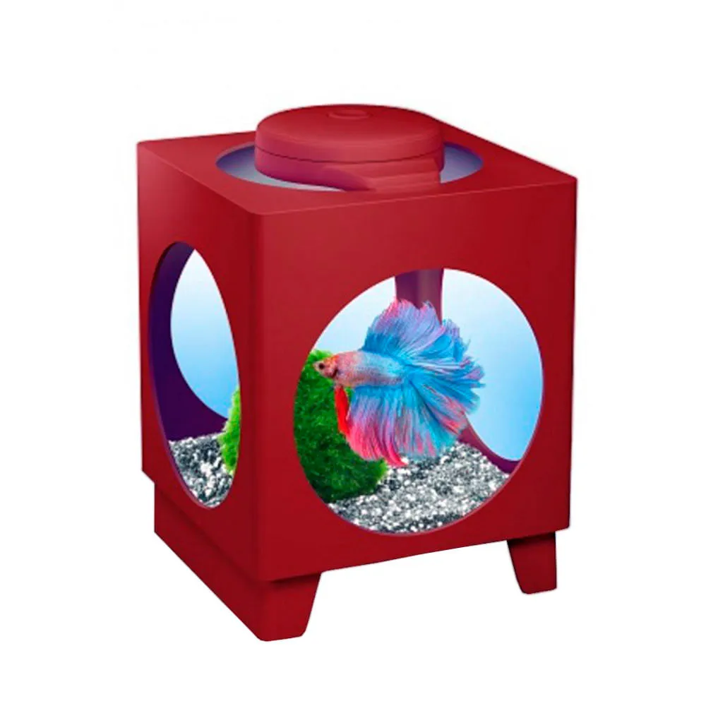 Beteira Vinho com Iluminação Led 6MK