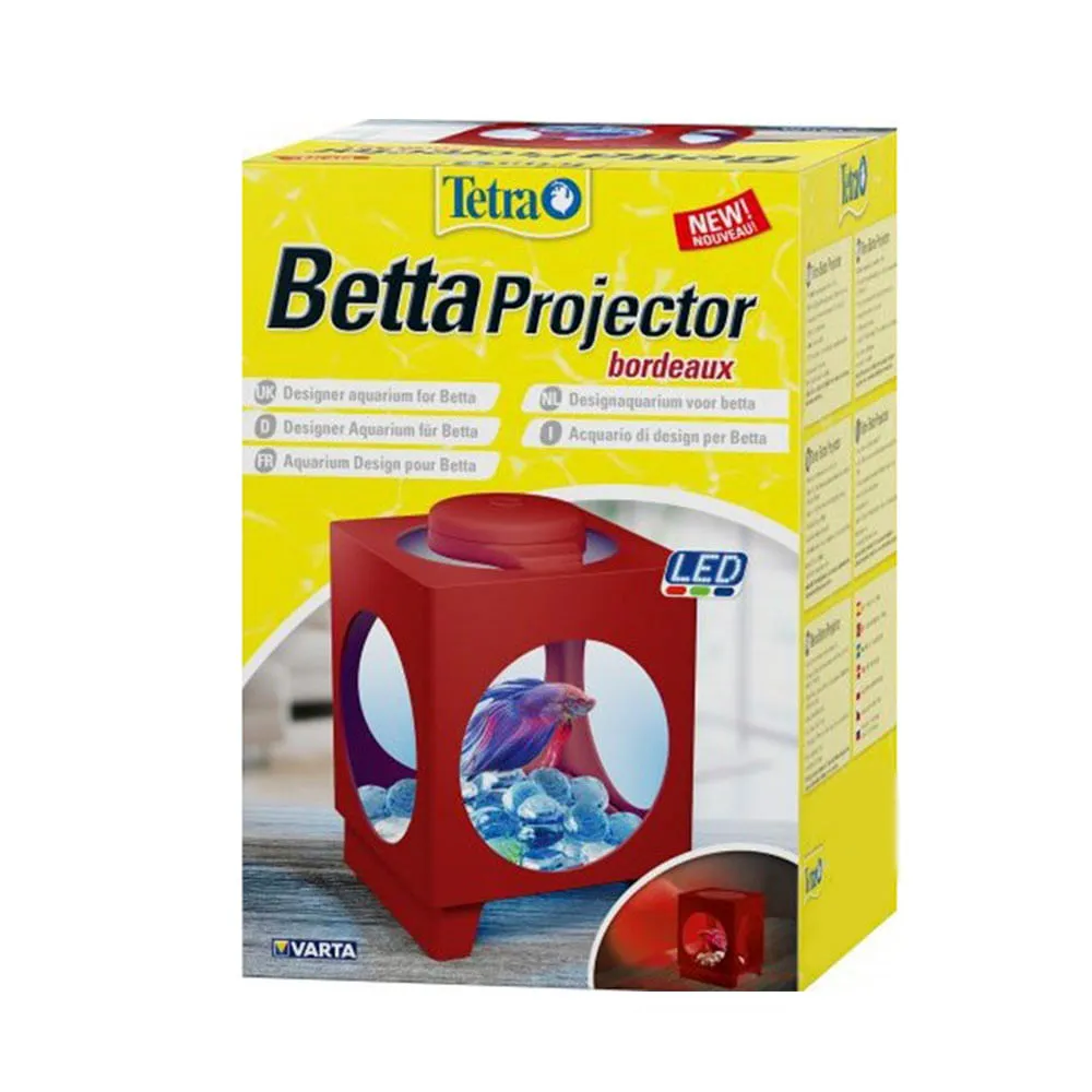 Beteira Vinho com Iluminação Led 6MK — foto 2