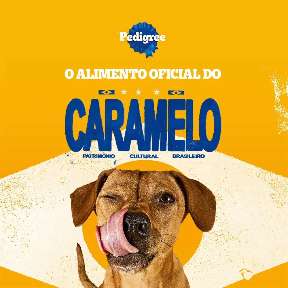 Biscoito Pedigree Biscrok para Cães Adultos Multi — foto 5