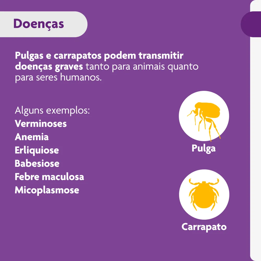 Antipulgas e Carrapatos Bravecto 10 kg a 20 kg Cães 500mg — foto 4