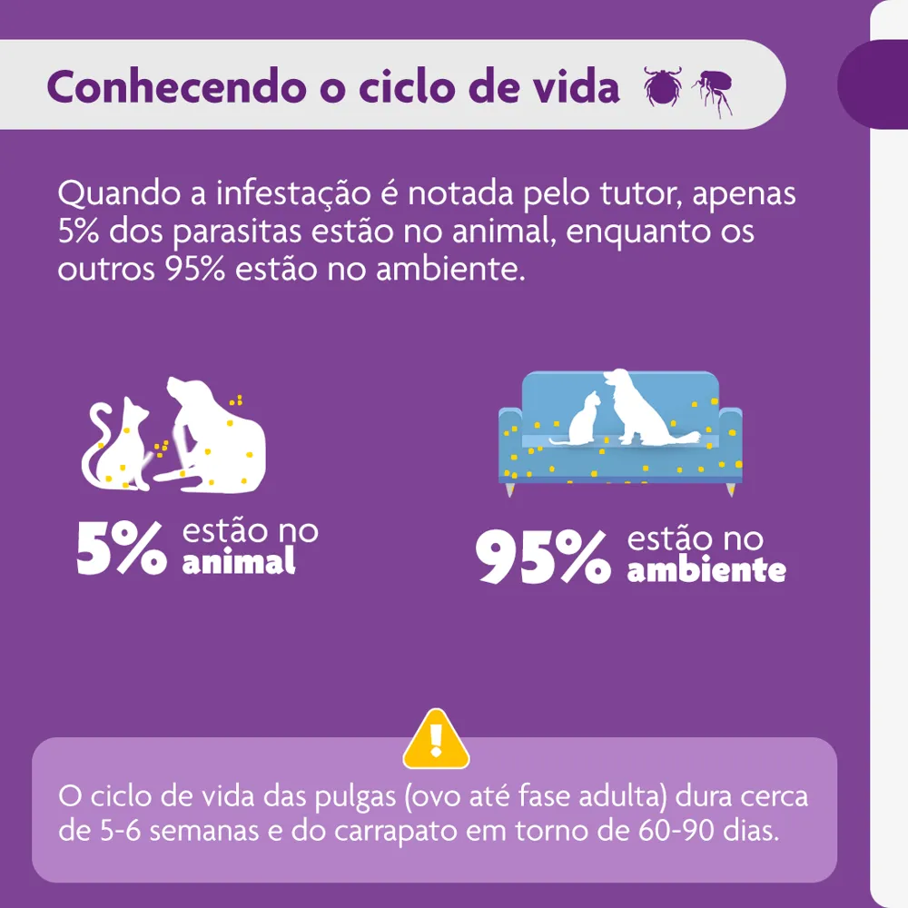 Antipulgas e Carrapatos Bravecto 10 kg a 20 kg Cães 500mg — foto 6