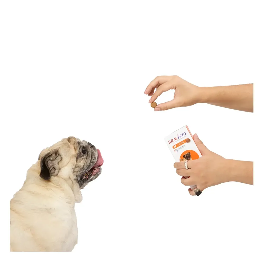 Antipulgas e Carrapatos Bravecto > 4,5 a 10 kg para Cães 250mg — foto 6