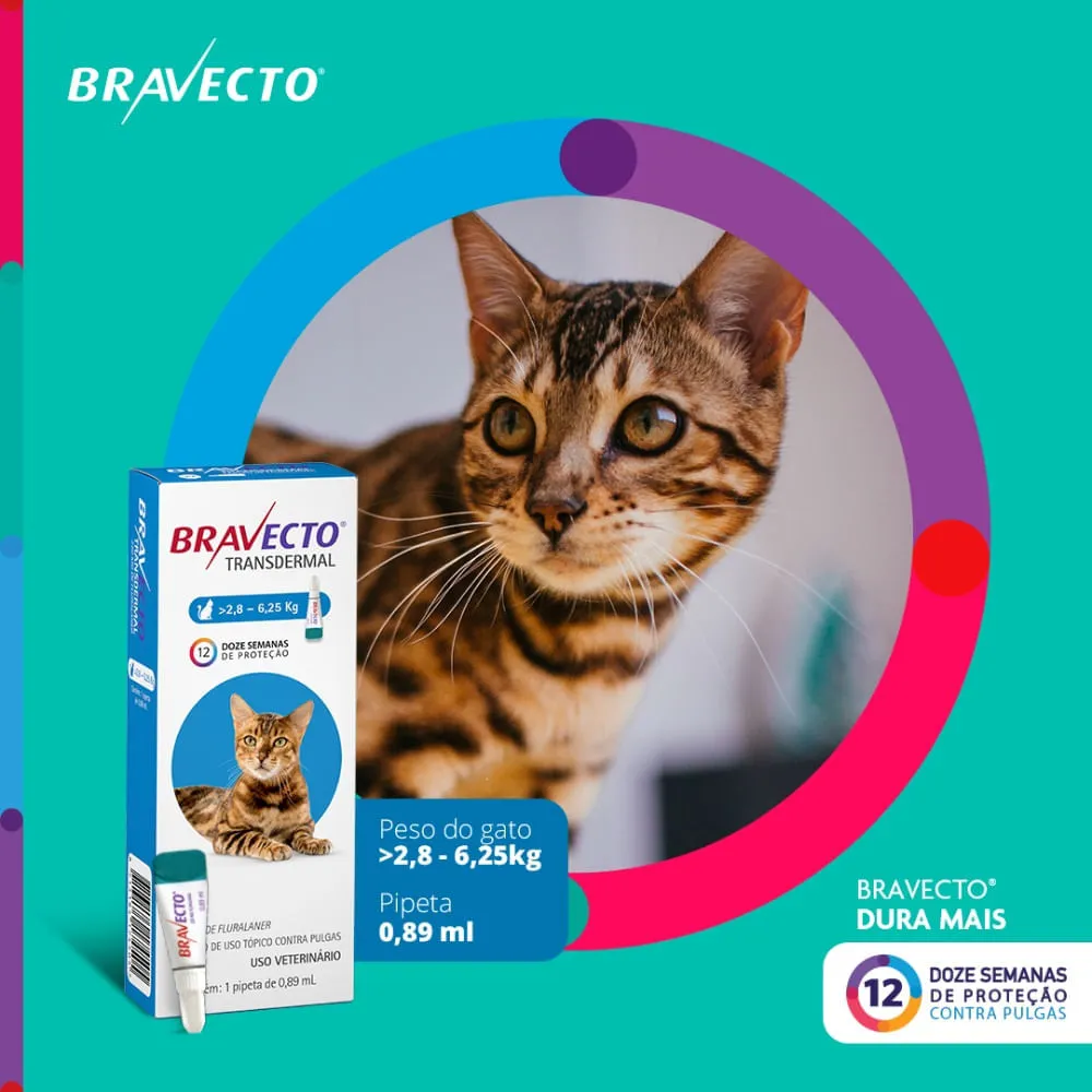 Antipulgas Bravecto Transdermal Gatos 2,8 a 6,25kg — foto 3