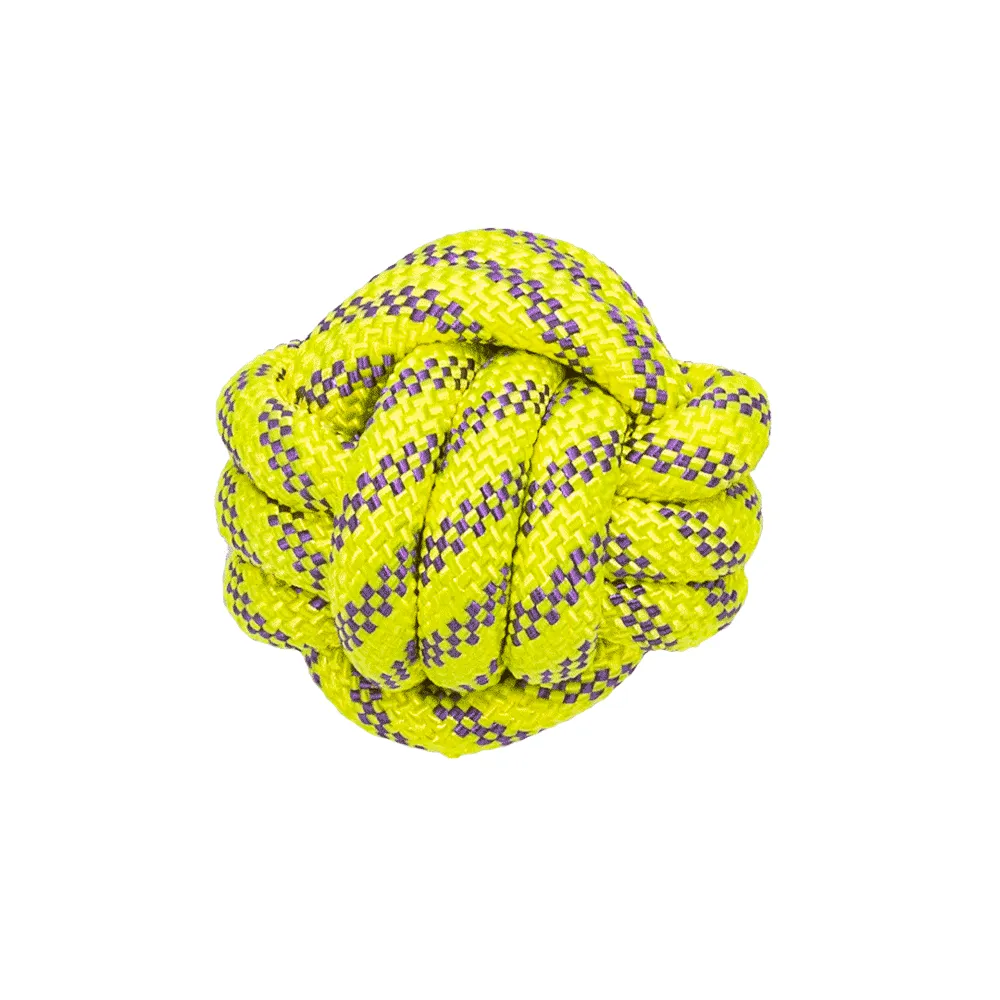 Brinquedo de Corda Elite Pet Toys Ball Amicus