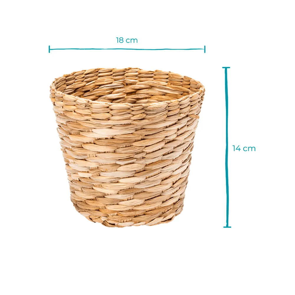 Cachepô Cone de Taboa Crisântemo Art Cestas — foto 2