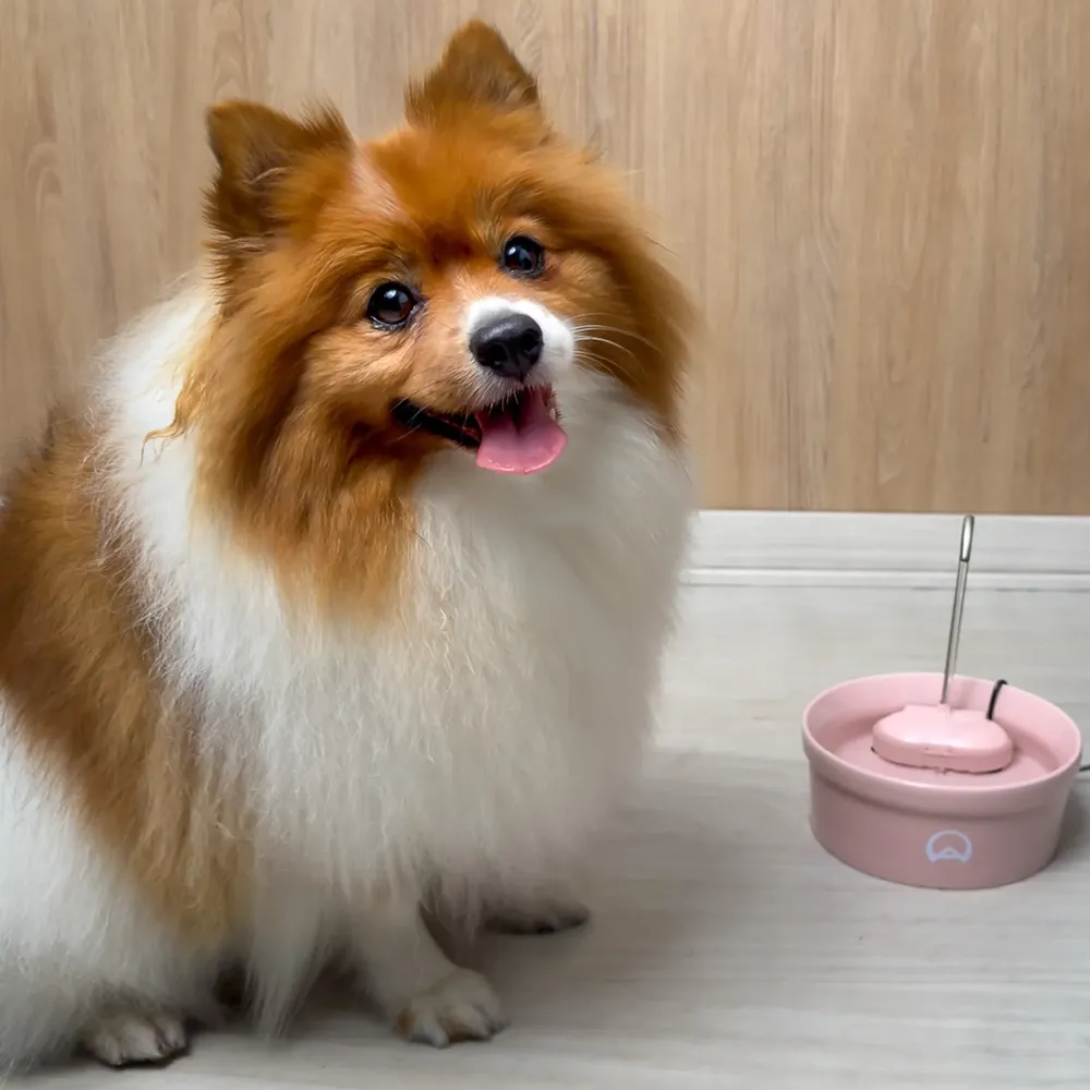 Fonte Bebedouro e Purificador Aqua Porcelain Amicus Bivolt Rosa — foto 4