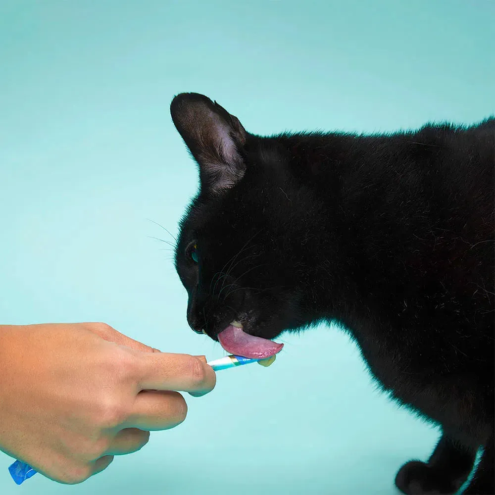 Petisco Churu Atum e Salmão para Gatos — foto 3