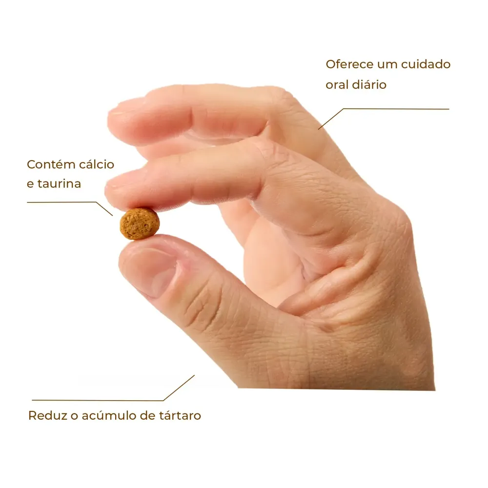 Petisco DentaLife Gatos Adultos — foto 2