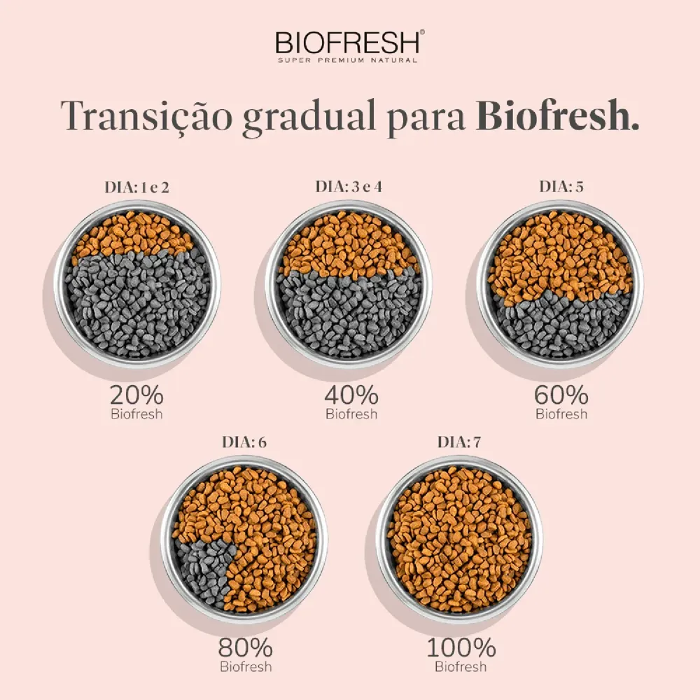 Ração Biofresh Cães Adultos Raças Médias Frango — foto 6