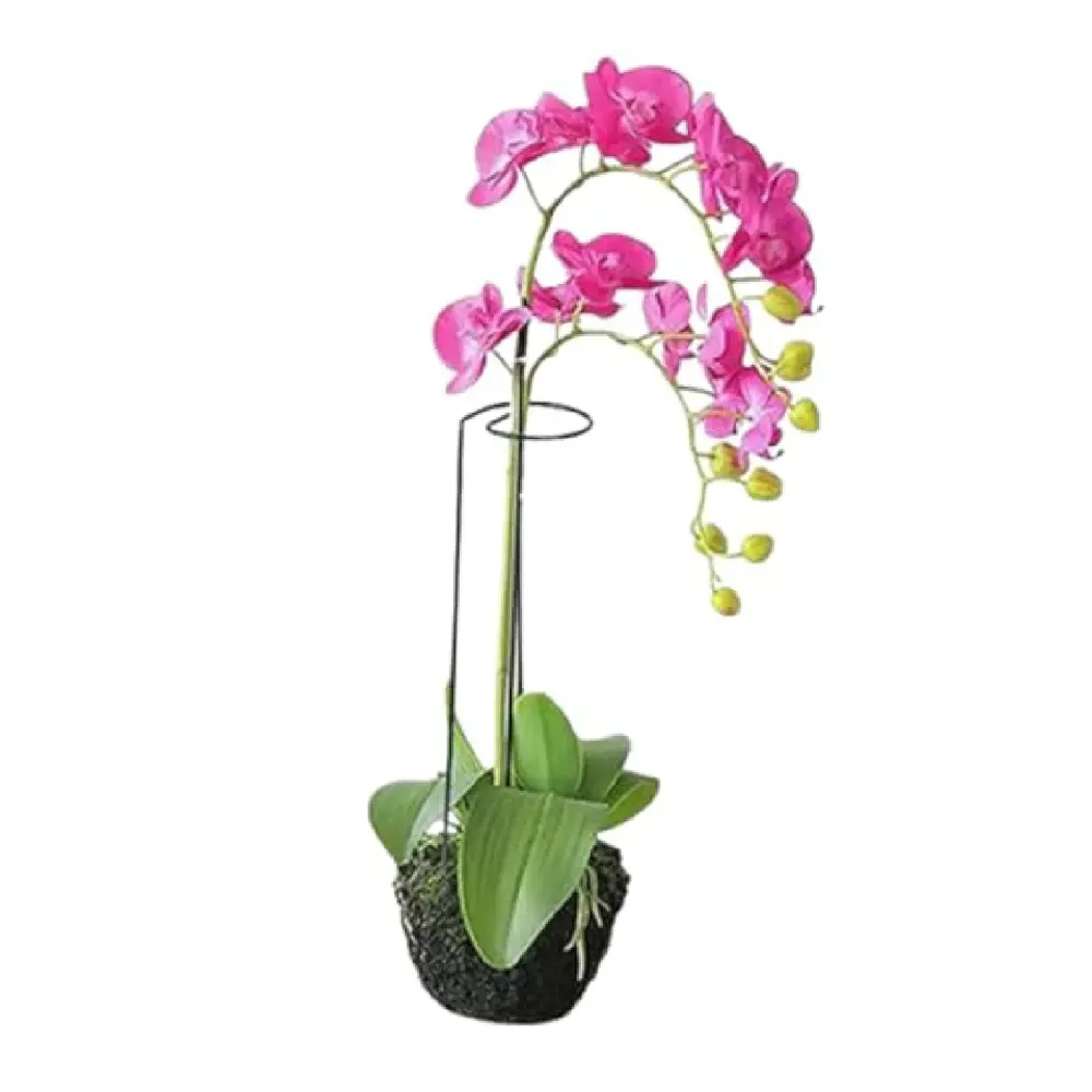Tutor Fácil para Plantas e Orquídeas Top Garden — foto 6